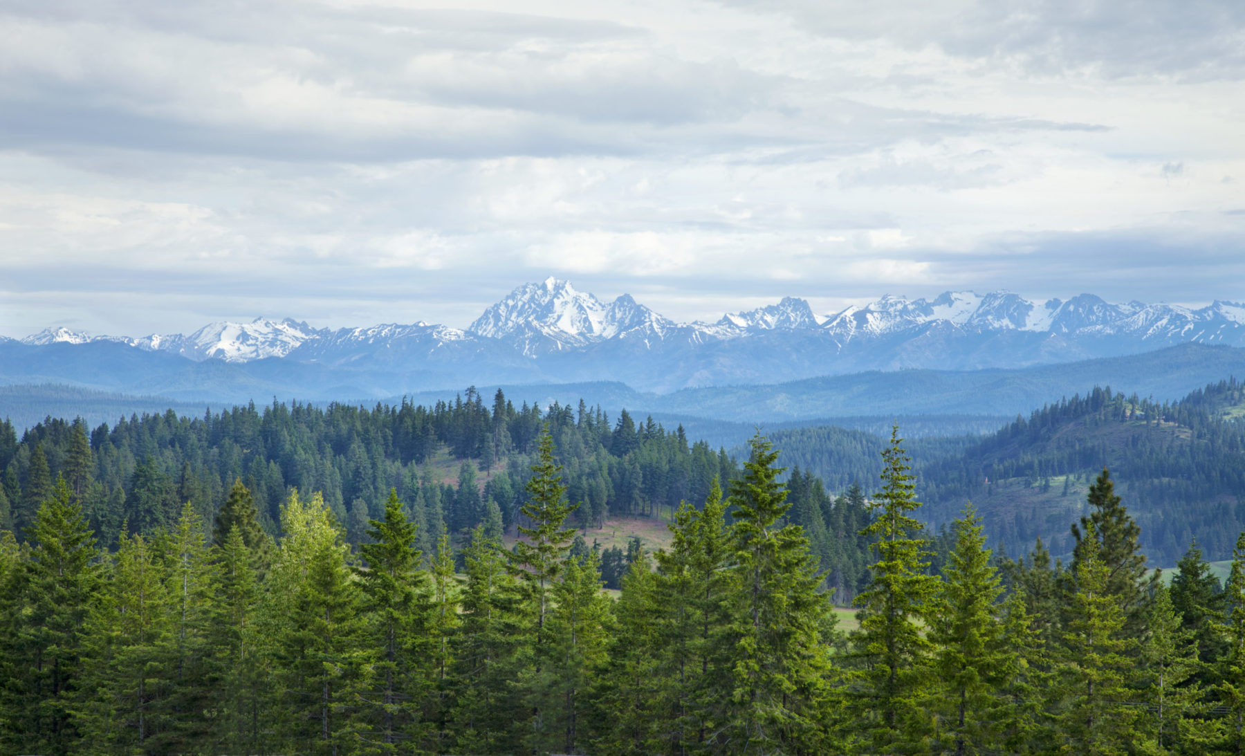 Mastering the First Impression: Your intriguing post title goes here Mountains in Washington