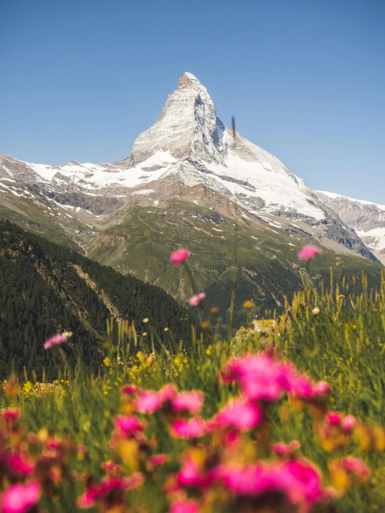 pexels jordicosta 31469965